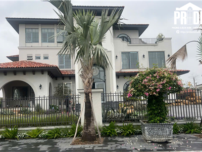 DỰ ÁN PRIDE VIỆT NAM 3